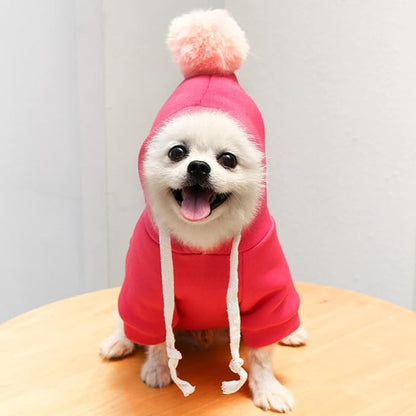 Warm Dog Winter Clothes Cute Fruit Dog Coat Hoodies Fleece Pet Dogs Costume Jacket for French Bulldog Chihuahua Ropa para Perro(1 Rose Red,L) - PAWPICO