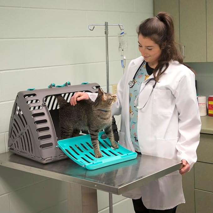 Sport Pet Designs Foldable Travel Cat Carrier - Front Door Plastic Collapsible Carrier Collection, Waterproof Bed - PAWPICO