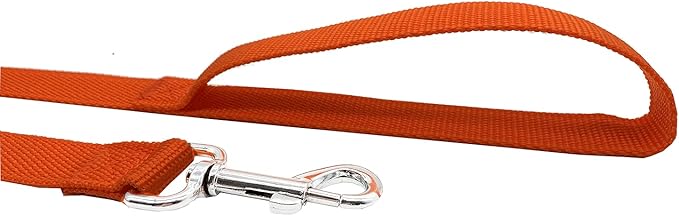 Nylon Dog Training Leash, Traction Rope, 4Ft /5 Foot /6 Feet Long, 5/8 inch 3/4 Inch 1 Inch Wide, for Small and Medium Dogs TAIDA