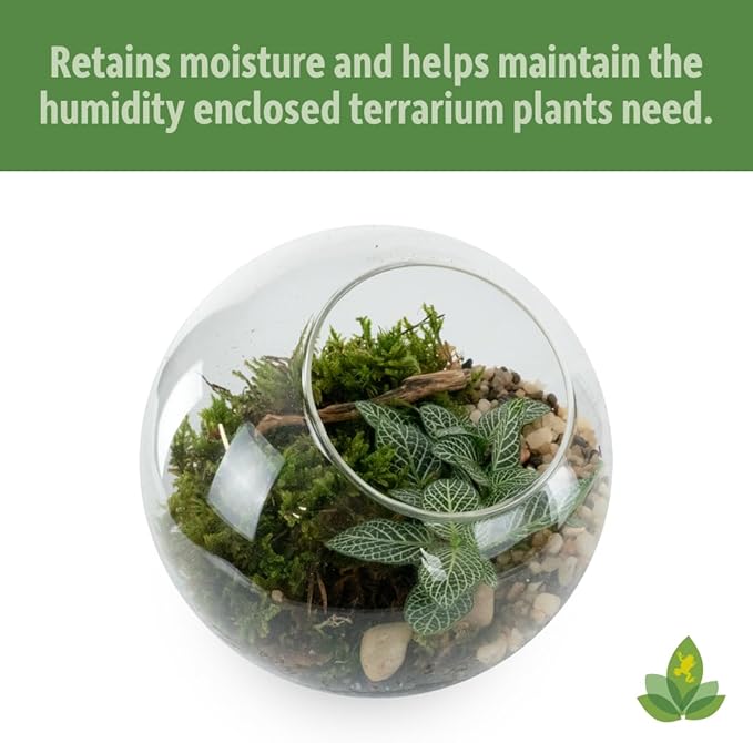 Josh's Frogs Sprig & Stone Terrarium Soil for Open and Closed Terrariums (4 Quart) JoshsFrogs