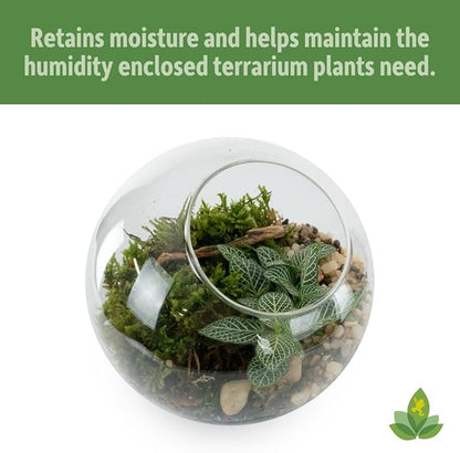 Josh's Frogs Sprig & Stone Terrarium Soil for Open and Closed Terrariums (4 Quart) JoshsFrogs
