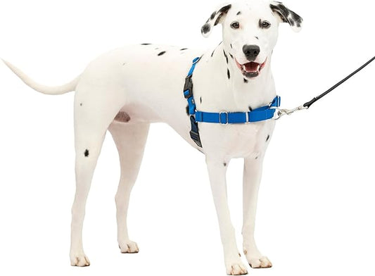 PetSafe Easy Walk No-Pull Dog Harness - The Ultimate Harness to Help Stop Pulling - Take Control & Teach Better Leash Manners - Helps Prevent Pets Pulling on Walks, Medium/Large, Royal Blue/Navy Blue PetSafe