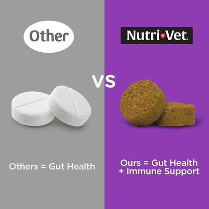 Nutri-Vet Pre and Probiotic Soft Chews for Dogs | Digestive Health Support | Tasty Alternative to Probiotic Powder | 120 Soft Chews Nutri-Vet