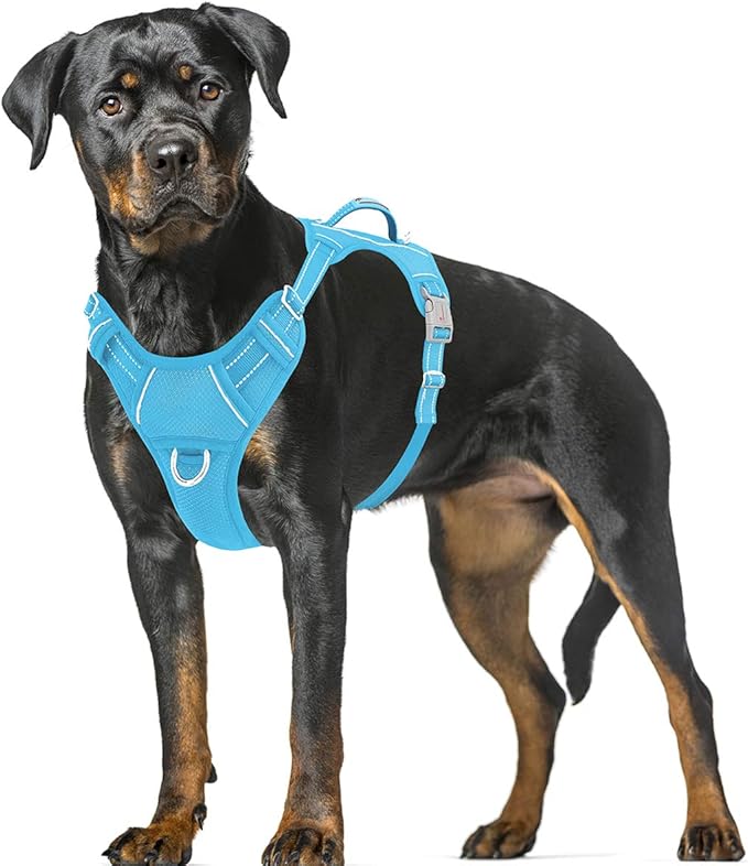 BARKBAY No Pull Dog Harness Large Reflective Dog Harness with Front Clip and Easy Control Handle for Walking Training Running with ID tag Pocket(Blue,XL) BARKBAY
