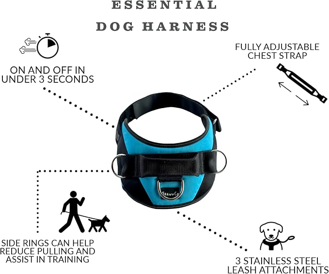ShawnCo Essential Dog Harness, No-Pull Pet Vest with 3 Leash Clips, No Choke, Reflective, Adjustable and Padded, for Easy Walking and Training for Small, Medium and Large Dogs (Electric Blue,L) SHAWNCO