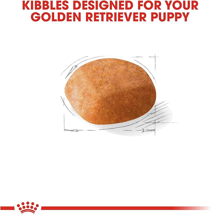 Royal Canin Golden Retriever Puppy Dry Dog Food, 30 lb bag - PAWPICO