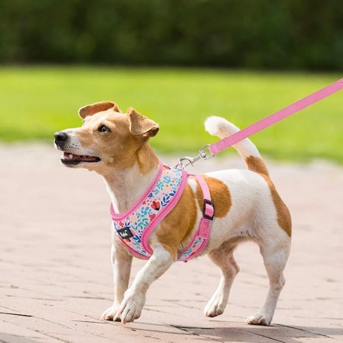 PUPTECK Soft Mesh Dog Harness and Leash Set Pet Puppy Cat Comfort Padded Vest No Pull Harnesses, Pink Floral, S PUPTECK
