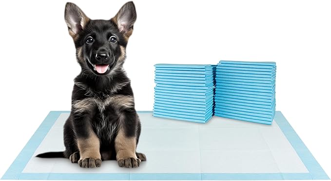 BV XXL Puppy Pads XX-Large Leak-Proof 30"x36" [20CT] | Pee Pads for Dogs Ultra Absorbent - Dog Pee Pads, Dog Pads, Potty Pads for Dogs, Training Pads for Dogs, Dog Pad for Cat, Rabbit, Guinea Pig - PAWPICO