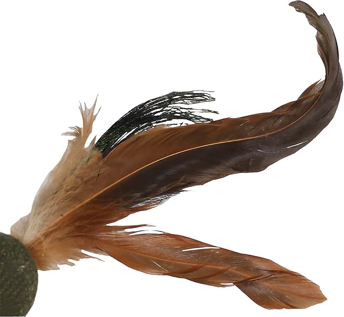 Penn-Plax Cat-Life Compressed Catnip Birdie with Peacock Feathers – Natural Cat Toy – 1 Count - PAWPICO