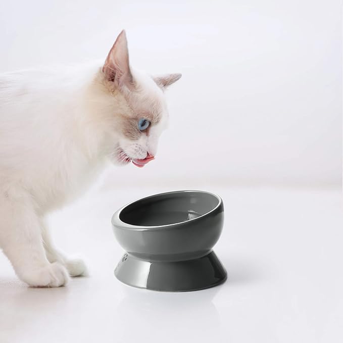 Y YHY Elevated Cat Food Bowl, Raised Pet Food and Water Bowl, Ceramic, 15oz - PAWPICO
