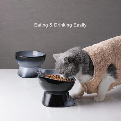 Nihow Ceramic Raised Cat & Dog Bowls: 5 Inch Elegant Gray (2 PC), Protecting Pet's Spine, Feeding & Watering Supplies, Modern Design, Anti Vomiting, Whisker Friendly - PAWPICO