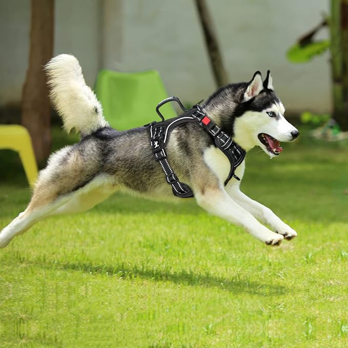 PoyPet No Pull Dog Harness, No Choke Front Clip Reflective Dog Vest with Soft Padded Vertical Handle, 3 Leash Attachments for Small Medium Large Dogs (Black,L) PoyPet