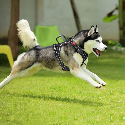 PoyPet No Pull Dog Harness, No Choke Front Clip Reflective Dog Vest with Soft Padded Vertical Handle, 3 Leash Attachments for Small Medium Large Dogs (Black,L) PoyPet