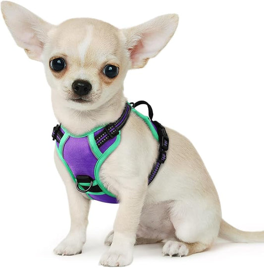 Eagloo Dog Harness for Large Dogs, No Pull Service Vest with Reflective Strips and Control Handle, Adjustable and Comfortable for Easy Walking, No Choke Harness with 2 Metal Rings, Purple & Green, XS GoExplorewithEagloo