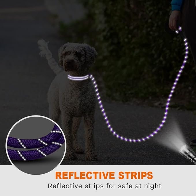 Taglory Rope Dog Leash 4 FT with Comfortable Padded Handle, Highly Reflective Threads Leash for Small Dogs, 3/8 inch, Purple Taglory