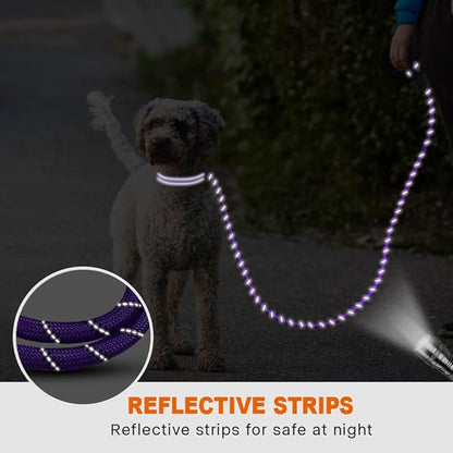 Taglory Rope Dog Leash 4 FT with Comfortable Padded Handle, Highly Reflective Threads Leash for Small Dogs, 3/8 inch, Purple Taglory