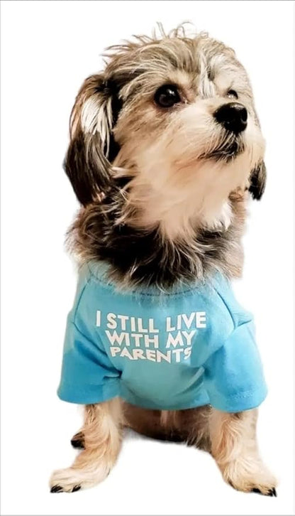 Cute Dog Clothes,Dog T Shirt for Medium Dogs.Dog Clothes for Small Dogs Girl Boy,Puppy.Breathable Soft Dog Costume Pet Dogs Cats,Pet Pullover Jumper,Cat Clothes (L-(10~17lb), Chest~18", Aqua) - PAWPICO
