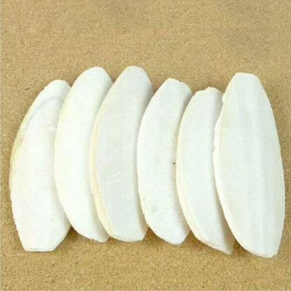 2PCS Natural Cuttlebone for Tortoise Turtles Snails Birds Cockatiels Parakeets Budgies Reptiles Small Animals(4"-4.5",Small) PAWPICO