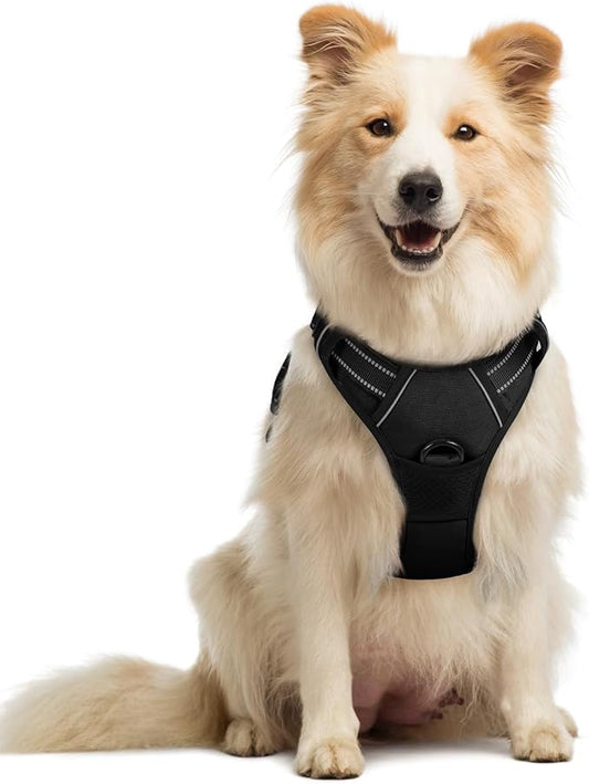 rabbitgoo Dog Harness No Pull with 2 Leash Clips, Adjustable Soft Padded, Reflective Oxford No Choke Pet Vest with Easy Control Handle for Medium Sized Dogs, Black, M rabbitgoo