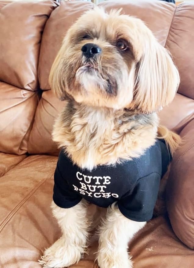 Cute Dog Clothes,Dog T Shirt for Medium Dogs.Dog Clothes for Small Dogs Girl Boy,Puppy.Breathable Soft Dog Costume Pet Dogs Cats,Pet Pullover Jumper,Cat Clothes (S-(4~8lb), Chest~14", Black) - PAWPICO