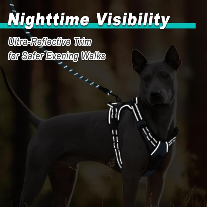 BARKBAY Dog Harness No Pull for Medium Dogs - Adjustable, Reflective, Comfortable, No Choke, Heavy-Duty - Perfect for Outdoor Training, Walking, and Hiking - Strong & Durable - M & Navy BARKBAY