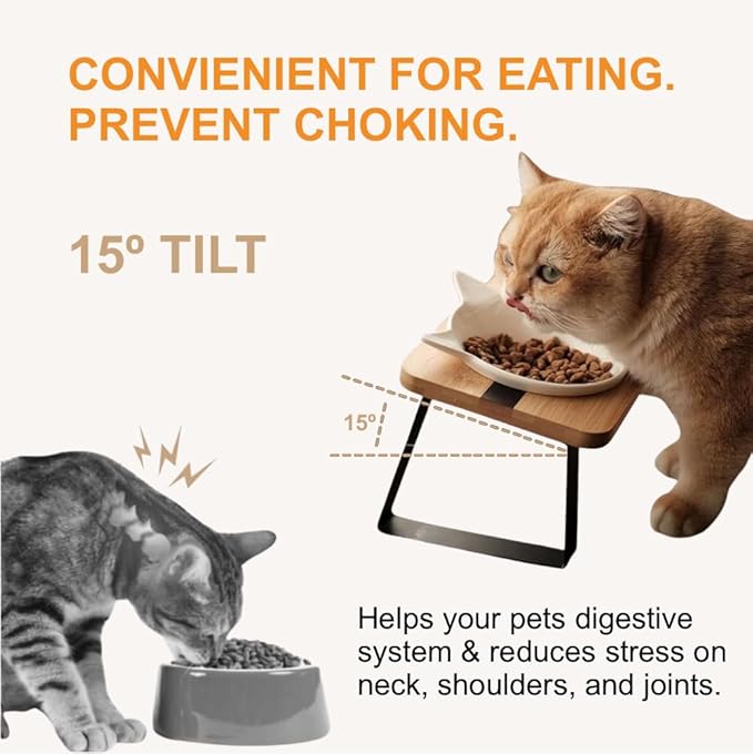 Ergonomic Cat Ceramic Bowls Stand for Food and Water, Small Dog, Anti Vomit, Indoor Cats, Elevated, Tilted Feeding Position, Full Bamboo Stand with Food Grade, Whisker Friendly Dish for Cats and Puppy - PAWPICO
