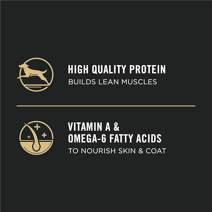 Purina Pro Plan High Protein Dry Puppy Food, Chicken and Rice Formula - 34 lb. Bag - PAWPICO