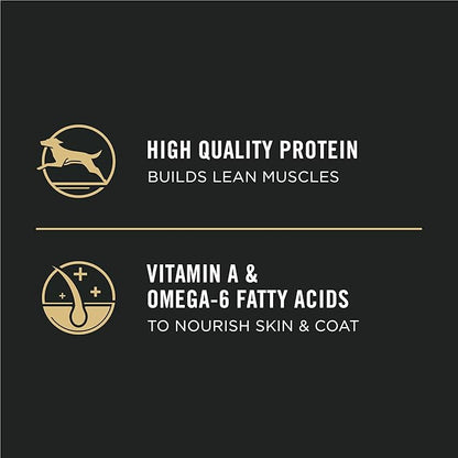 Purina Pro Plan High Protein Dry Puppy Food, Chicken and Rice Formula - 34 lb. Bag - PAWPICO