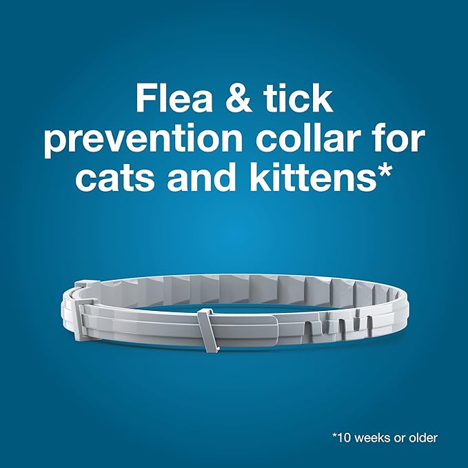 Seresto Cat Vet-Recommended Flea & Tick Treatment & Prevention Collar for Cats | 8 Months Protection Seresto