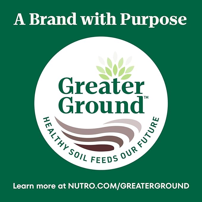 Nutro Crunchy Dog Treats With Real Peanut Butter, 16 oz. Bag - PAWPICO