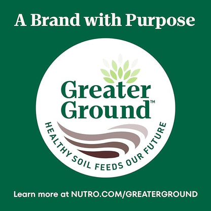 NUTRO Crunchy Dog Treats with Real Peanut Butter, 10 oz. Bag - PAWPICO