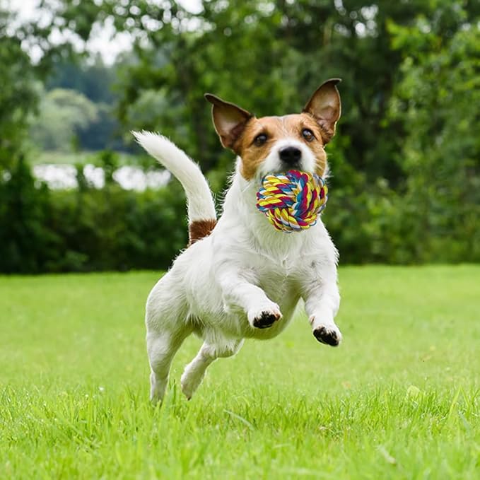 Dog Toys for Aggressive Chewers Large Medium Breed Dog Chew Toys Dog Ball Toys Nearly Indestructible Squeaky Interactive Tough Extremely Durable Toys - PAWPICO