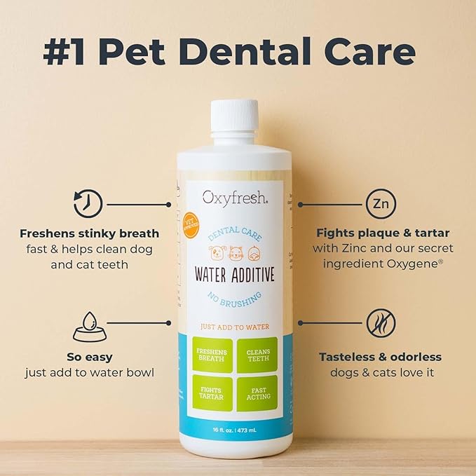 Oxyfresh Premium Pet Dental Care Solution Pet Water Additive: Best Way to Eliminate Bad Dog Breath and Cat Bad Breath - Fights Tartar & Plaque - So Easy, Just Add to Water! Vet Recommended 16 oz. Oxyfresh