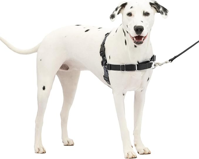 PetSafe Easy Walk No-Pull Dog Harness - The Ultimate Harness to Help Stop Pulling - Take Control & Teach Better Leash Manners - Helps Prevent Pets Pulling on Walks, Medium/Large, Charcoal/Black PetSafe
