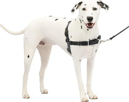 PetSafe Easy Walk No-Pull Dog Harness - The Ultimate Harness to Help Stop Pulling - Take Control & Teach Better Leash Manners - Helps Prevent Pets Pulling on Walks, Medium/Large, Charcoal/Black PetSafe