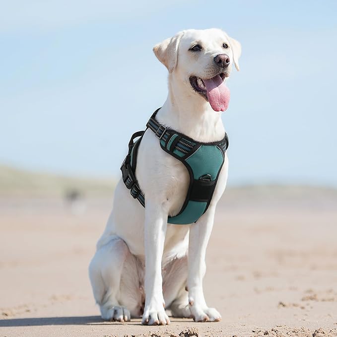 Eagloo Dog Harness for Large Dogs, No Pull Service Vest with Reflective Strips and Control Handle, Adjustable and Comfortable for Easy Walking, No Choke Pet Harness with 2 Metal Rings, Dark Green, L GoExplorewithEagloo