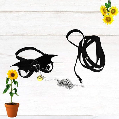 POPETPOP Turtle Harness and Leash Set : Tortoise Harness Strap with Wings Adjustable Collar Leash Walking Control Rope Great for Turtle (Black M) POPETPOP