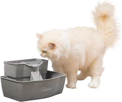 PetSafe Multi-Tier Pet Fountain – Large Waterer Great for Cats and Dogs – 2 Heights to Drink from – Great for Senior Pets – 100 Oz Water Capacity – Fresh, Filtered Water - PAWPICO