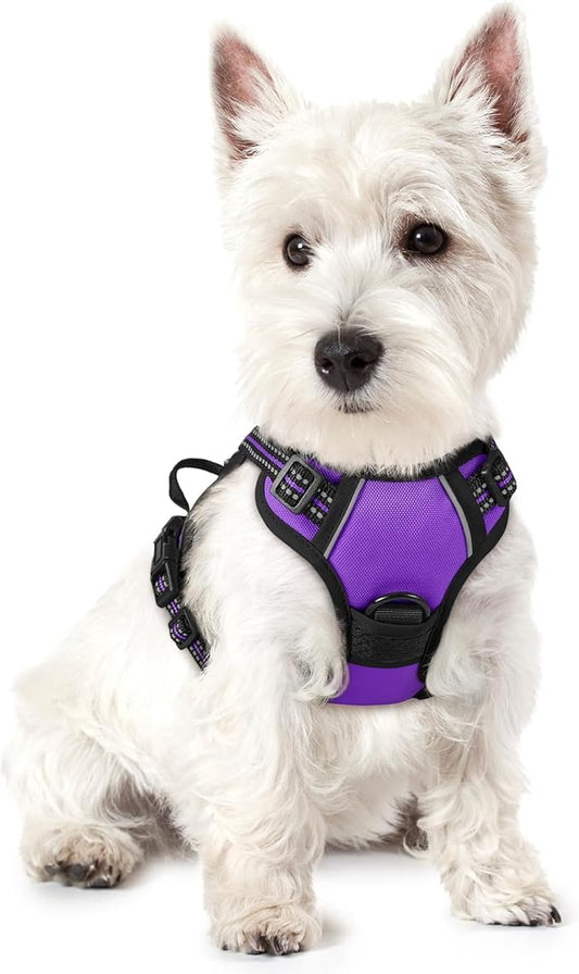 rabbitgoo Dog Harness No Pull with 2 Leash Clips, Adjustable Soft Padded, Reflective Oxford No Choke Pet Vest with Easy Control Handle for Puppy, Purple,XS rabbitgoo