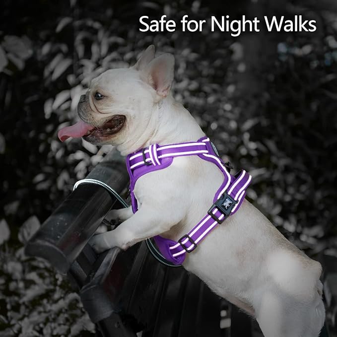 PoyPet No Pull Dog Harness, No Choke Reflective Dog Vest, Adjustable Pet Harnesses with Easy Control Padded Handle for Small Medium Large Dogs(Purple Matching Trim,L) PoyPet