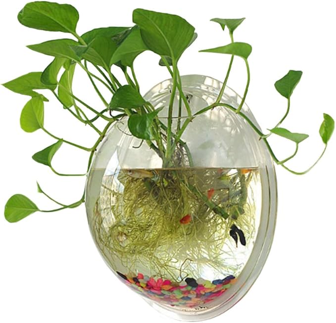 Hanging Wall Mounted Fish Bowl Betta Tank Aquarium Wall Decor Plant Fish Bubble - Clear (Medium) Sweetsea