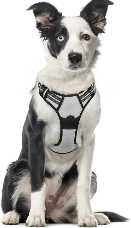 rabbitgoo Dog Harness, No-Pull Pet Harness with 2 Leash Clips, Adjustable Soft Padded Dog Vest, Reflective No-Choke Pet Oxford Vest with Easy Control Handle for Large Dogs, Grey, XL - PAWPICO