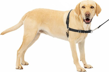 PetSafe Easy Walk No-Pull Dog Harness - The Ultimate Harness to Help Stop Pulling - Take Control & Teach Better Leash Manners - Helps Prevent Pets Pulling on Walks, Large, Black/Silver PetSafe