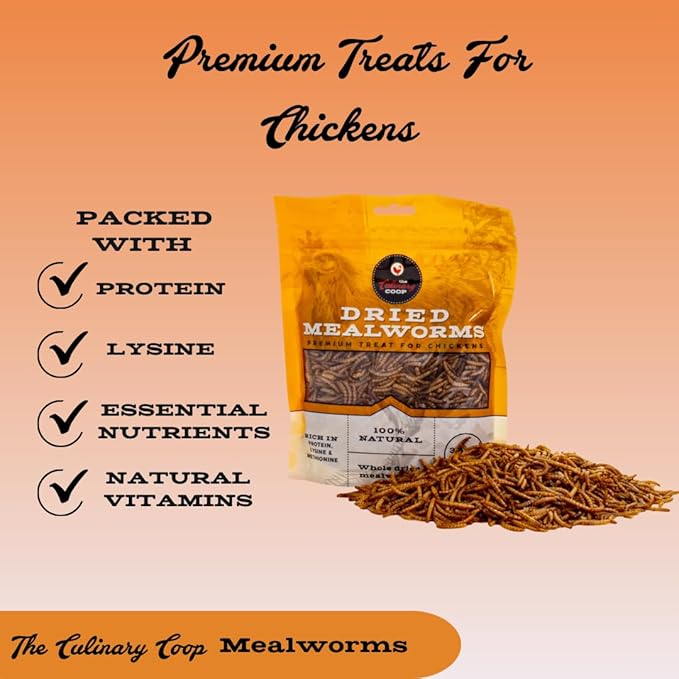 Fluker's Culinary Coop Premium Chicken Treats, Mealworms 3.5 oz, High Protein Worm, Nutritious Treat Flukers