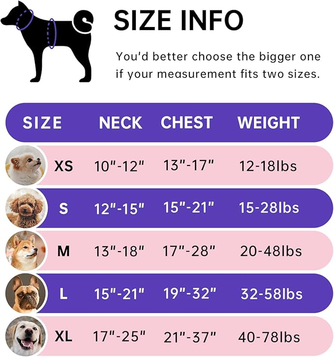 IVY&LANE No Pull Dog Harness for Large Dogs, Dog Vest Harness with Leash, Safety Belt and Storage Strap, Fully Adjustable Harness, 360° Reflective Strip, Soft Handle (Purple, XL) IVYLANE