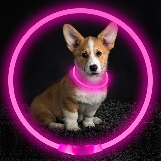 Led Dog Collar, BSEEN USB Rechargeable Flash Dog Necklace Light, Pet Safety Collar Makes Your Beloved Dogs Be Seen at Night for Small Medium Large Dogs(Pink) - PAWPICO