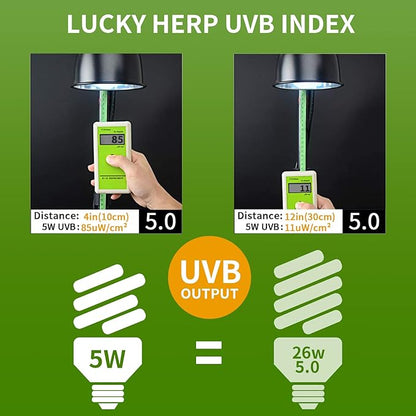 LUCKY HERP Mini UVA UVB Reptile Light 5.0 5W, UVB Bulb for All Tropical and Sub Tropical Reptiles, Compact Fluorescent Reptile UVB Bulb for Chameleons, Turtle, Gecko, Lizard, etc. LUCKYHERP