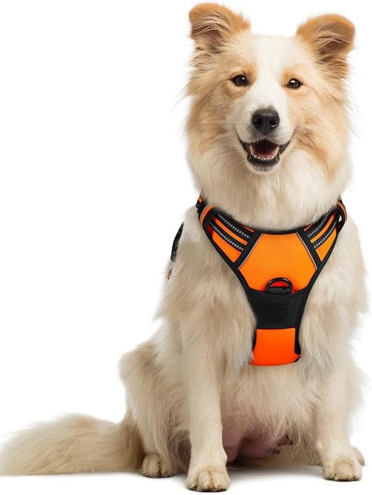 rabbitgoo Dog Harness No Pull with 2 Leash Clips, Adjustable Soft Padded, Reflective Oxford No Choke Pet Vest with Easy Control Handle for Medium Sized Dogs,Orange, M rabbitgoo