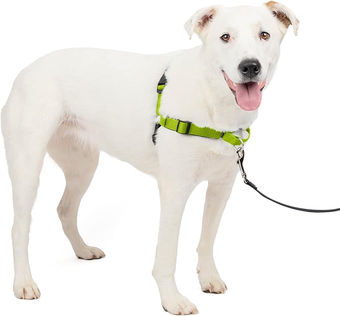 PetSafe Easy Walk Deluxe Dog Harness, No Pull Dog Harness – Perfect for Leash & Harness Training – Stops Pets from Pulling and Choking on Walks – Medium/Large, Apple PetSafe