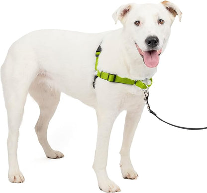 PetSafe Easy Walk Deluxe Dog Harness, No Pull Dog Harness – Perfect for Leash & Harness Training – Stops Pets from Pulling and Choking on Walks – Medium/Large, Apple PetSafe